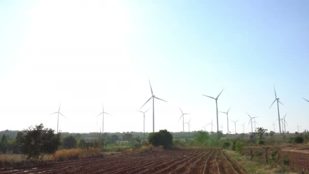Female Engineer Working Holding Report Wind Turbine Farm Power Generator — Stock Video