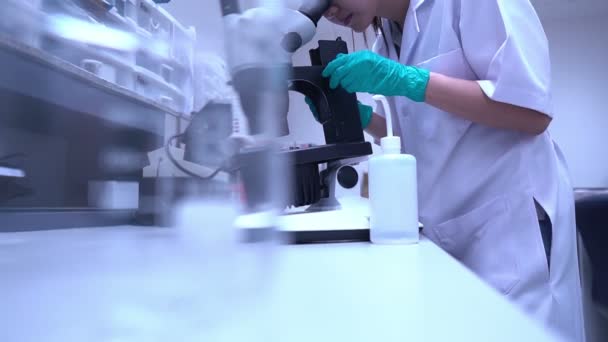 Aziatische Wetenschapper Werkzaam Het Lab Onderzoek Naar Resultaten Van Experiment — Stockvideo
