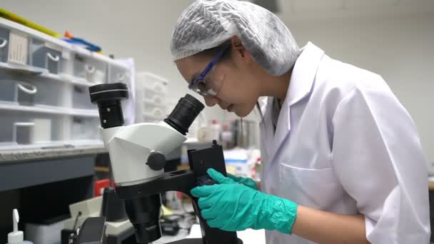 Científico Asiático Trabajando Laboratorio Investigando Para Encontrar Los Resultados Del — Vídeos de Stock