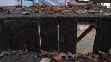 Asyalı kadın dışarıda hayalet makyajı yapıyor, korku sahnesi, korku arka planı, Cadılar Bayramı konsepti.