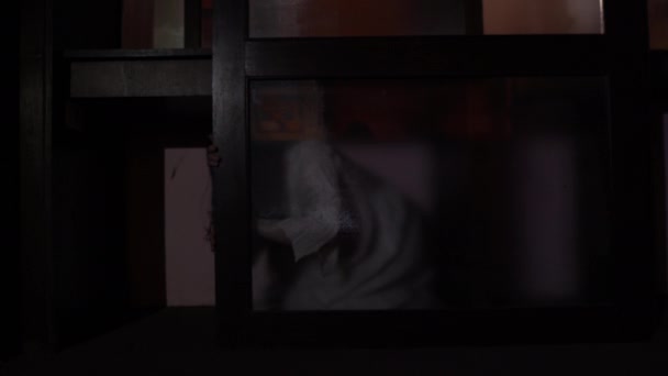 Πορτρέτο Της Ασιατικής Γυναίκας Συνθέτουν Φάντασμα Πρόσωπο Σκηνή Τρόμου Τρομακτικό — Αρχείο Βίντεο