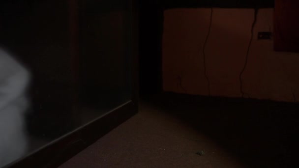 Portrait de femme asiatique maquillage visage fantôme, Scène d'horreur, Fond effrayant, Concept d'Halloween  