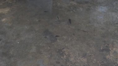 Yağmur açık havada birikintiye düşüyor.