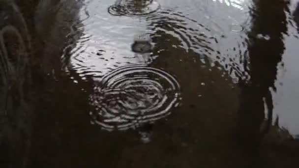 Pluie Tombant Dans Flaque Extérieur — Video