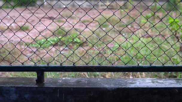 Metal Fence Drops Rainy Day — Stock Video