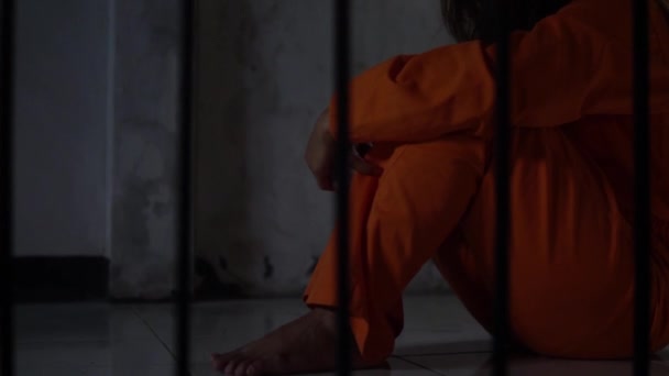 Porträt Einer Frau Die Verzweifelt Versucht Das Eiserne Gefängnis Fangen — Stockvideo