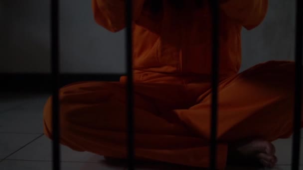 Portret Kobiety Desperacko Chcącej Złapać Żelazne Więzienie Koncepcja Więźnia — Wideo stockowe