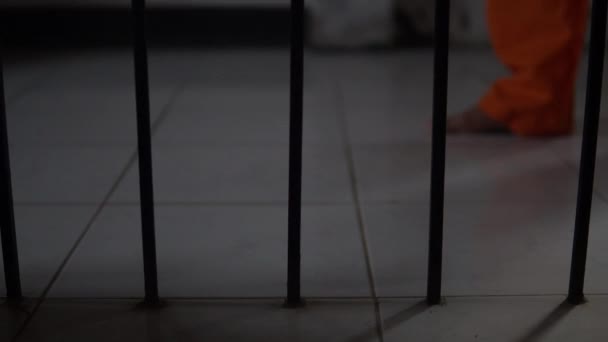 Портрет Женщины Отчаянно Пытающейся Поймать Железную Тюрьму Концепция Заключенного — стоковое видео