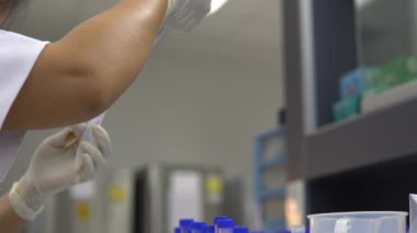 Laboratuvarda çalışan Asyalı bilim adamı. Deneyin sonuçlarını araştıran araştırmacı.