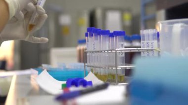 Laboratuvarda çalışan Asyalı bilim adamı. Deneyin sonuçlarını araştıran araştırmacı.