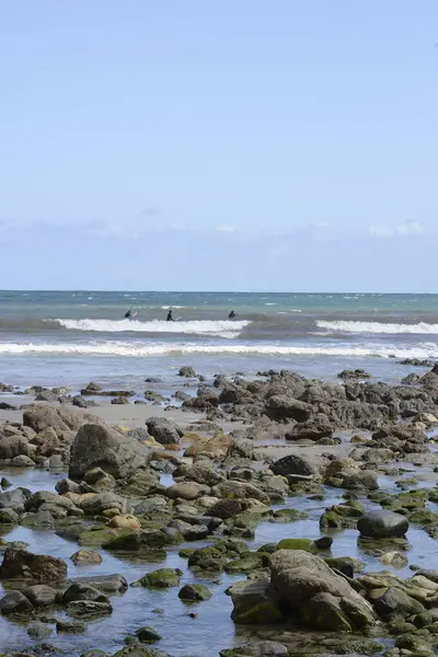 Морські водорості на морських камінцях з серферами на задньому плані — стокове фото