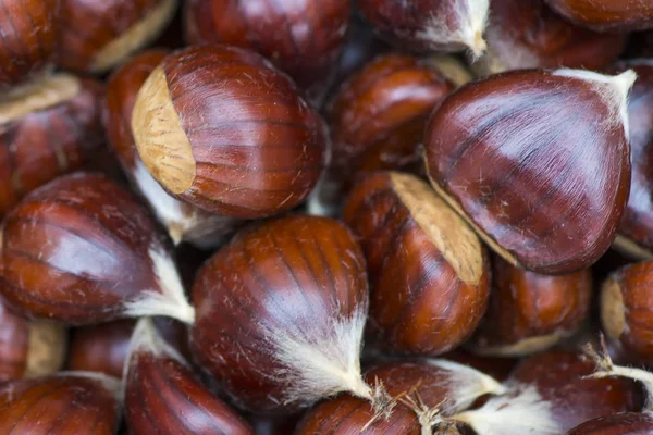 Freshly picked chestnuts. Chestnuts are a very nutritious type o Royalty Free Stock Photos