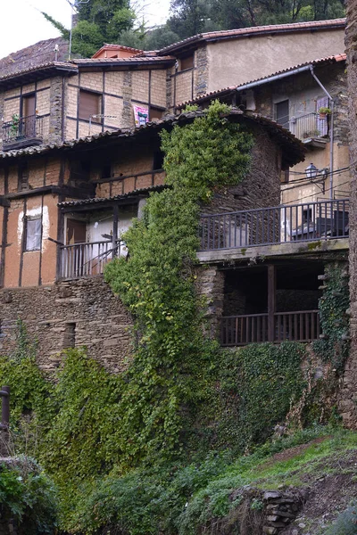 Maisons dans les arbres à Robledillo de Gata en Estrémadure, Espagne — Photo