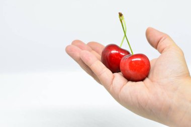 Elinde kırmızı kirazlar. Kiraz Vadisi Jerte