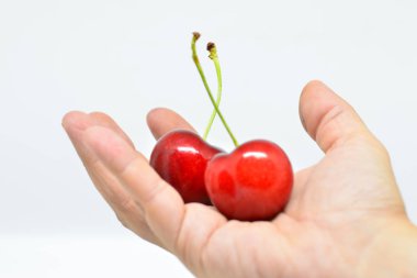 Elinde kırmızı kirazlar. Kiraz Vadisi Jerte