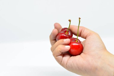 Elinde kırmızı kirazlar. Kiraz Vadisi Jerte