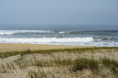 Esmoriz sahilindeki kum tepeleri