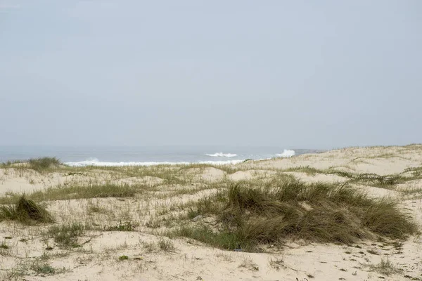 Piaszczyste wydmy na plaży Esmoriz — Zdjęcie stockowe