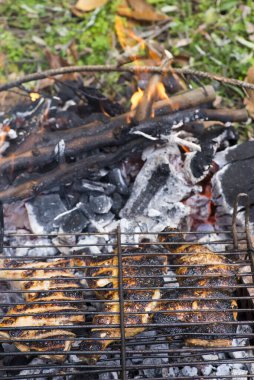 Kızarmış tavuk budu ateşte