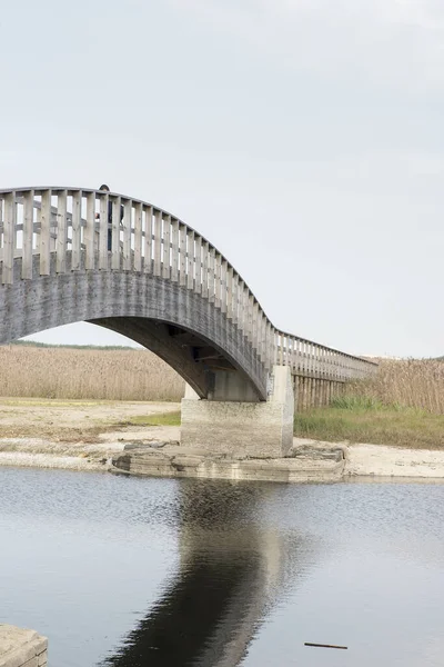 Barrinha of esmoriz, national reserve in espinho, Portugal — 스톡 사진