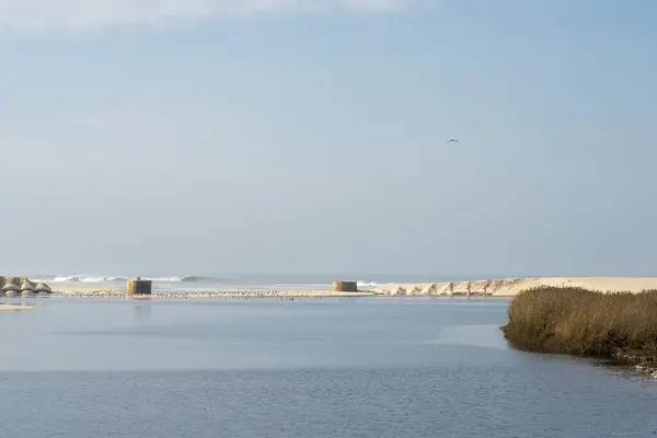 Piaszczyste wydmy na plaży Esmoriz — Zdjęcie stockowe