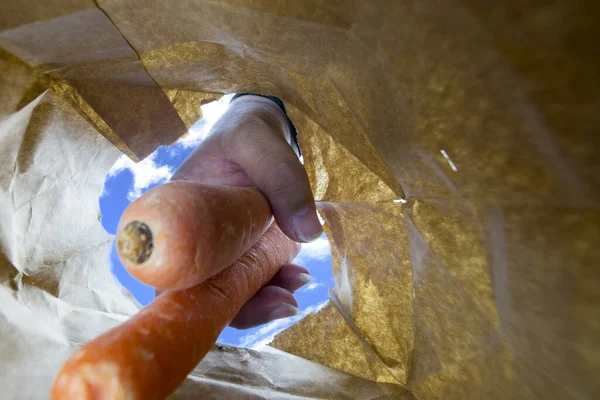 Χέρι που αφαιρεί καρότα και λαχανικά από ανακυκλωμένη χάρτινη σακούλα — Φωτογραφία Αρχείου