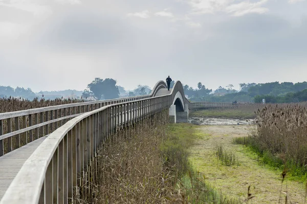 Man doing sports on wooden bridge in the nature reserve of Espin — Stock Photo, Image