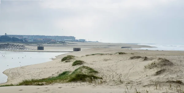 Panoramiczna Barrinha Esmoriz, Rezerwat Narodowy w Espinho, Port — Zdjęcie stockowe