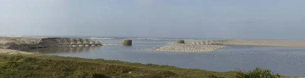Panorámica de la playa de Esmoriz con gaviotas en la isla de arena en P — Foto de Stock