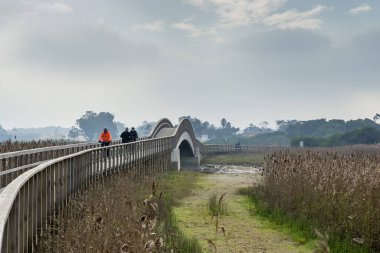 Portekiz, Espinho 'nun doğa koruma alanında spor yapan insanlar
