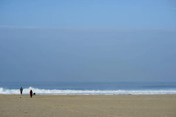 Люди выгуливают собаку на пляже Эсмориз в Португалии — стоковое фото