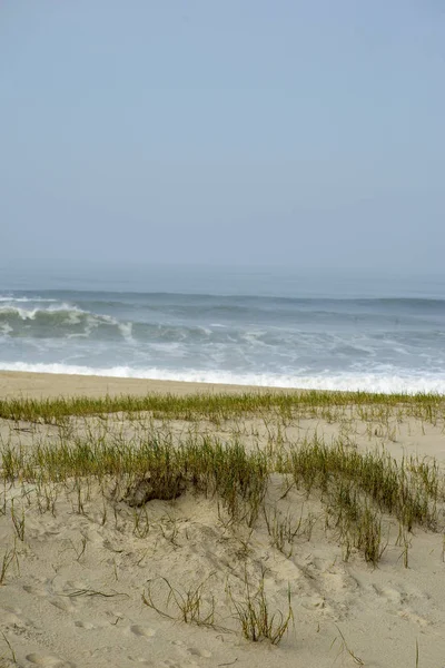 Sand dunes on the beach of Esmoriz — Stock Photo, Image