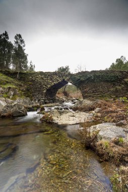Stone bridge known as Males Bridge in Ovejuela Las Hurdes, Extre clipart