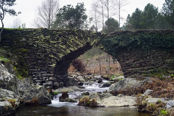 Stone bridge known as Males Bridge in Ovejuela Las Hurdes, Extre — Stok fotoğraf