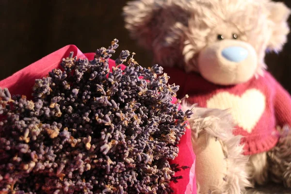 Soft bear and a bouquet of fragrant lavender