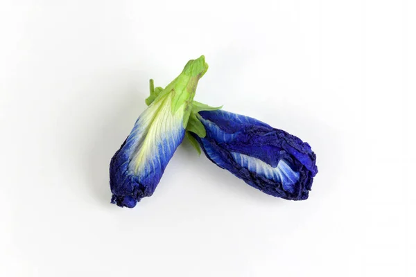 Butterfly pea thee Anchan gedroogde bloemen — Stockfoto