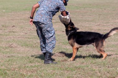 K-9 köpek ünite gelen askerler 