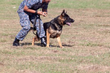 K-9 köpek ünite gelen askerler