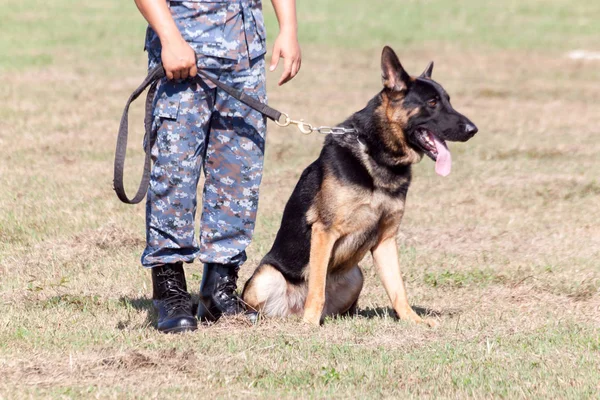 Soldiers from the K-9 dog unit — Stock Photo, Image