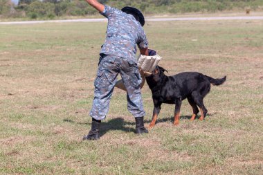 K-9 köpek ünite gelen askerler