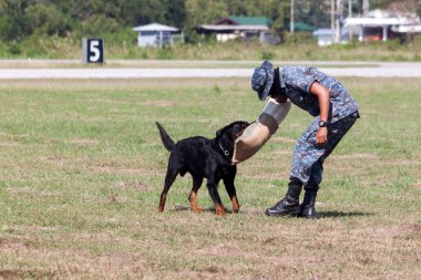 K-9 köpek ünite gelen askerler