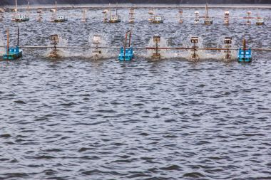 kürek tekerlek aerator