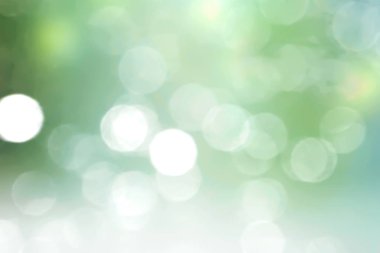 Yeşil bulanık bahar arka plan.