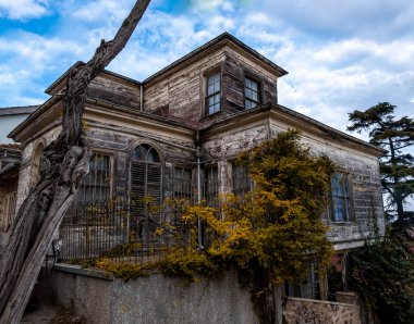 Marmara denizinin en büyük adalarından biri olan heybeliada 'da da pek çok ahşap ev bulunur.