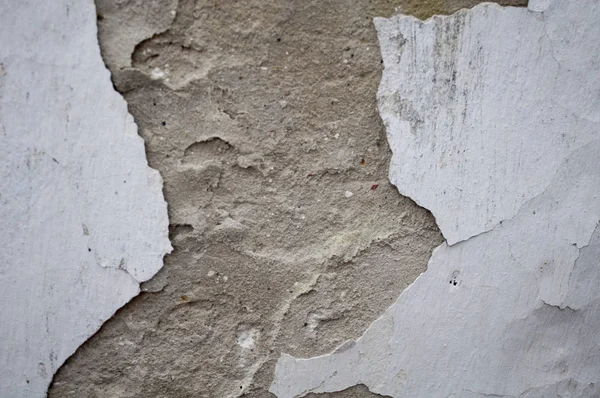 cilalanmış beyaz alçı