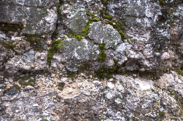 Çimento duvarı, kırılmış ve yosunla kaplanmış.