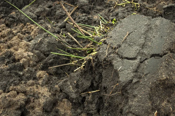 Recently plowed soil — Stock Photo, Image