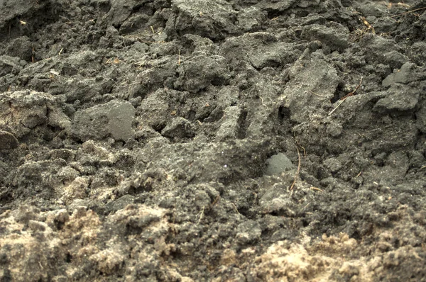 Recently plowed soil — Stock Photo, Image