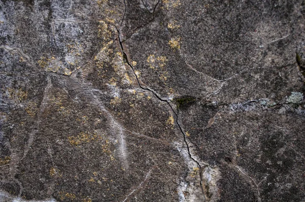 Eski çimento çatlamış