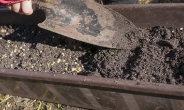 Açık havada plastik bir kutu, karanlık toprakla dolu, ilkbaharda çiçek ve sebze tohumları ekmeye hazırlanıyor..